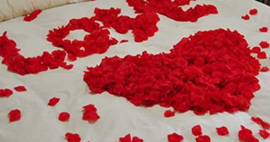 kashmir honeymoon packages