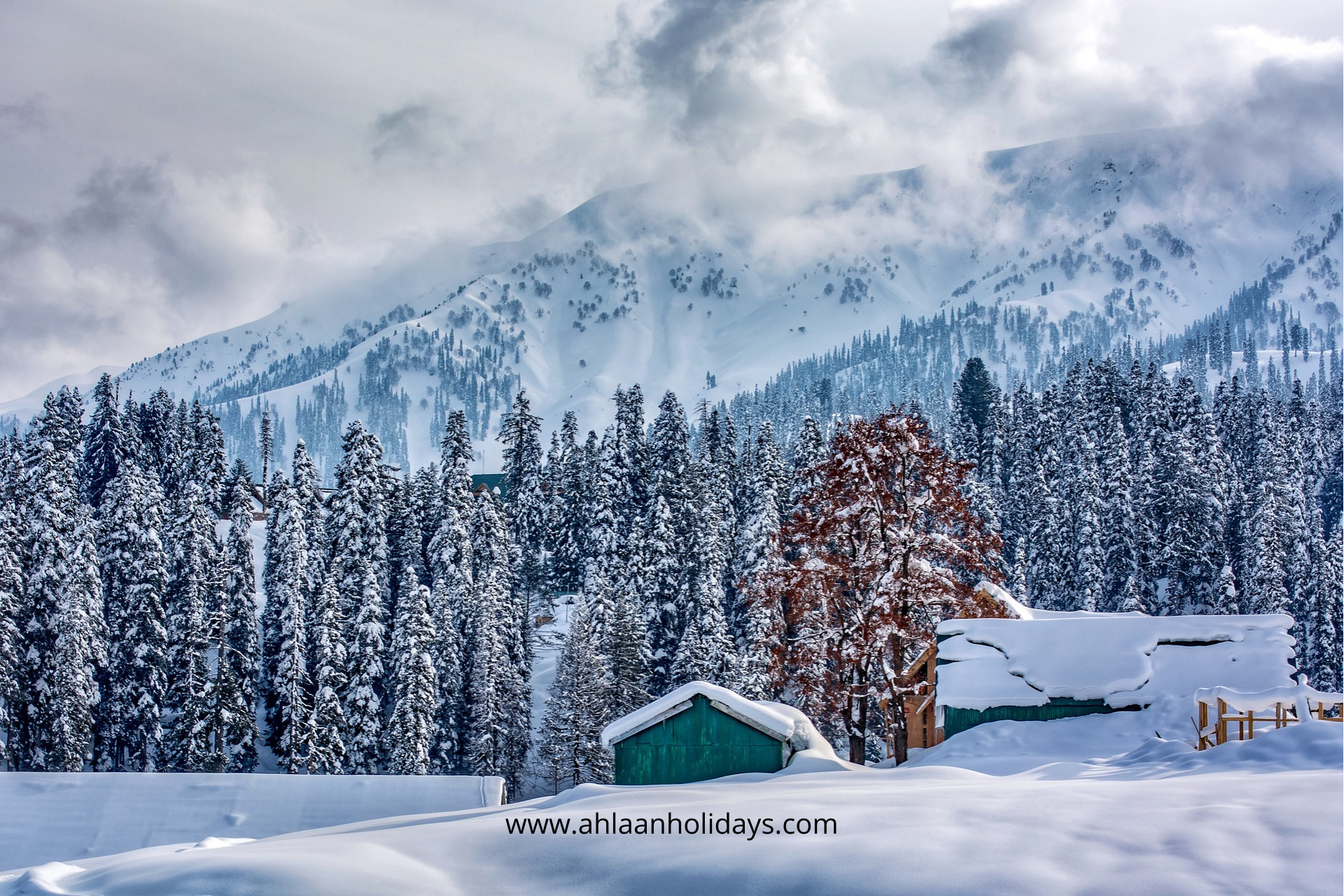 Home - kashmir tour packages, srinagar tour packages,srinagar tour operator,kashmir tour operator,kashmir holiday packages,