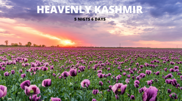 heavenly kashmir