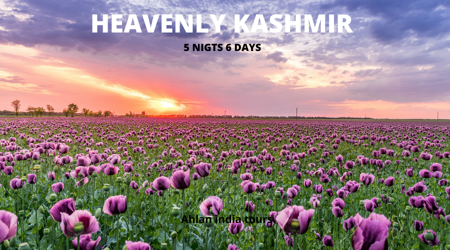 heavenly kashmir