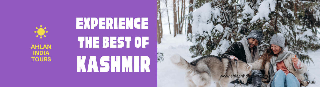 Home - Custom Kashmir Tours with Local Experts: Personalized Packages