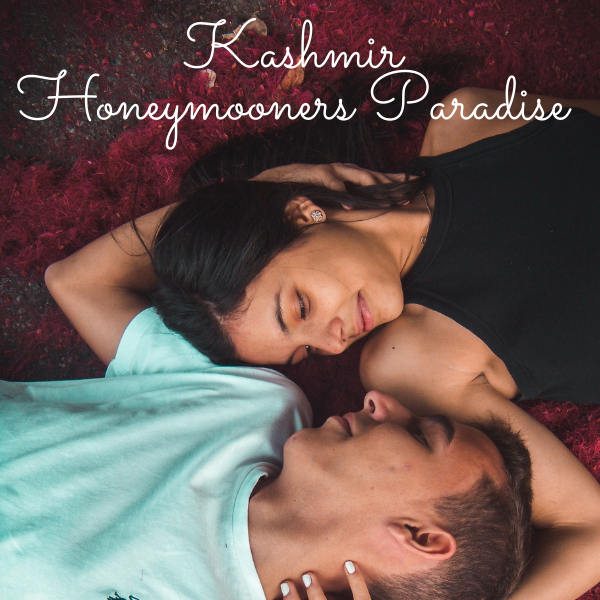 kashmir honeymoon packages