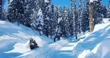 kashmir tour package