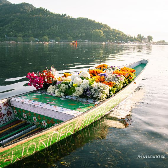 Home - Custom Kashmir Tours with Local Experts: Personalized Packages