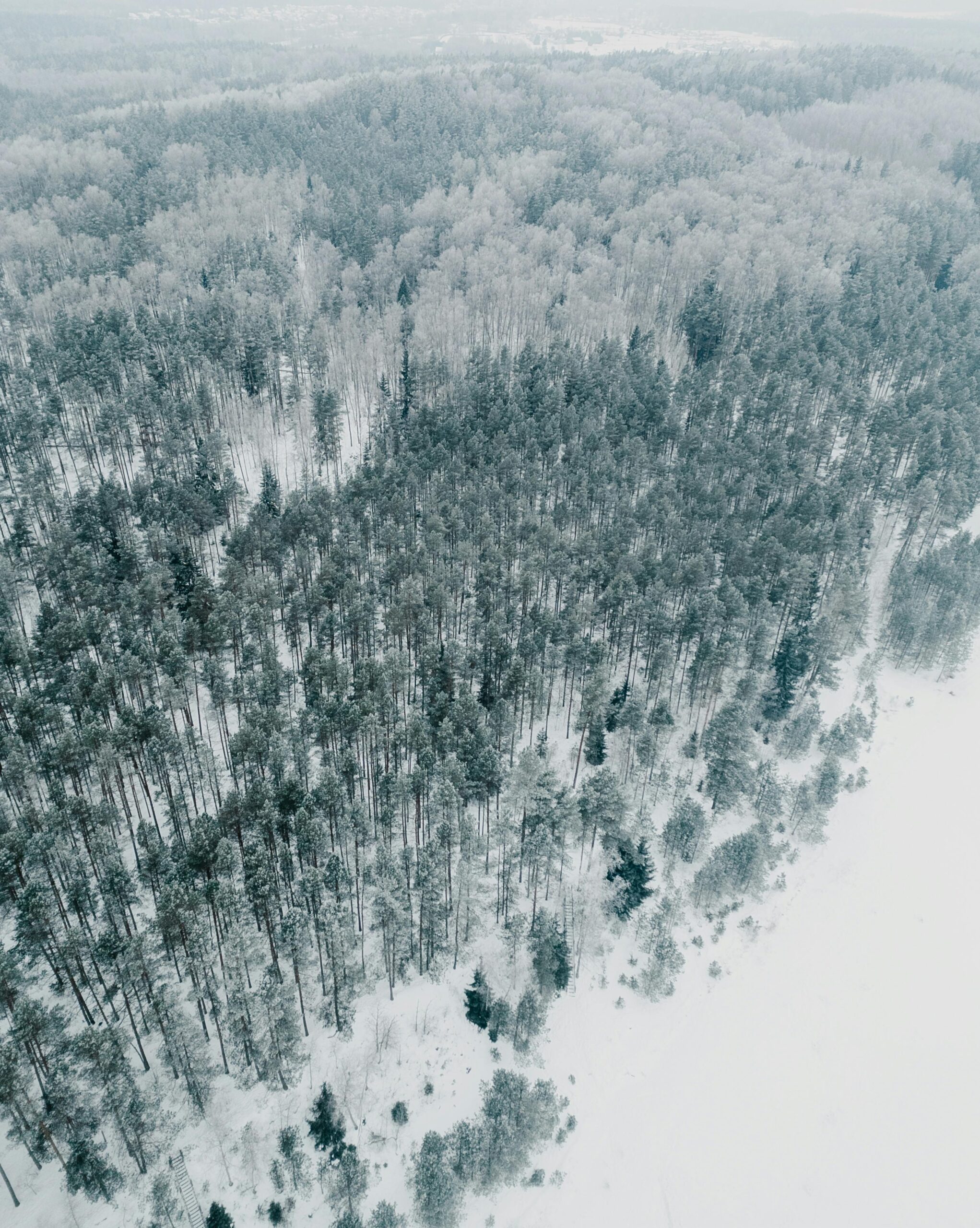 Home - Custom Kashmir Tours with Local Experts: Personalized Packages